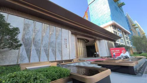 瑞阁兴宣布成都所有在售住宅涨价2%，市场反响几何？